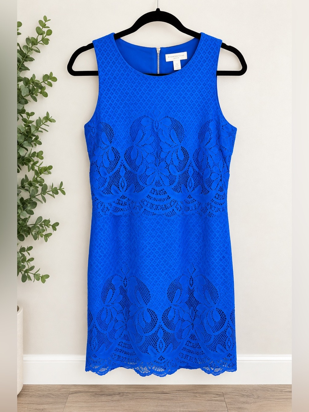 Charter Club Bright Cobalt Lace Midi Sheath Dress
